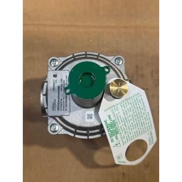 Imagem de Pietro Fiorentini Regulador, capacidade padrão - Modelo F31053, 2.5 cm X 2.5 cm NPT, PRETA MOLA 15-35.6 cm WC