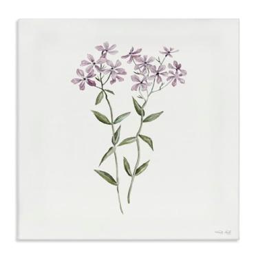 Imagem de Stupell Industries Arte de parede em tela botânica Phlox roxa, design de Cindy Jacobs, 61 x 61 cm