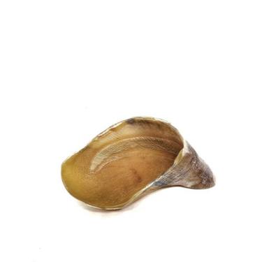 Imagem de Casco Natural Desidratado 1 und - Cibi Sani