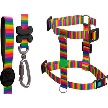 Imagem de Kit H 3 em 1 Com Peitoral H Para Cachorro, Guia Tradicional e QR Code Localizador (Rainbow, G)