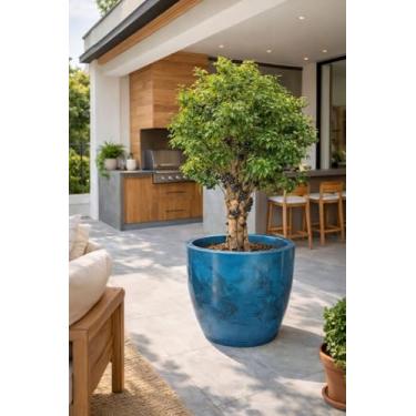 Imagem de Vaso Grande Planta Liso Marmorizado Polietileno Jabuticabeira Fruteira (Azul Petróleo)