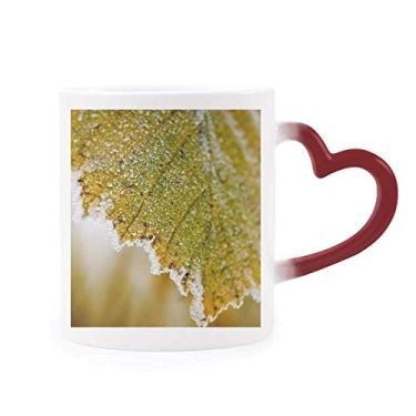 Imagem de Caneca sensível ao calor com imagem de plantas Tender Leaf Copo de grés que muda de cor vermelha