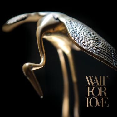 Imagem de Wait For Love [Disco de Vinil]