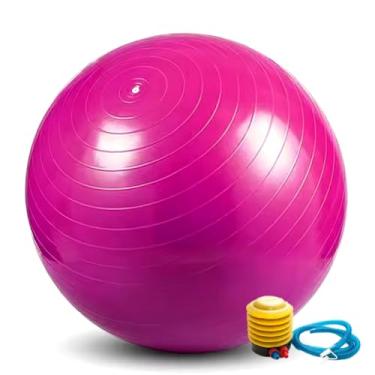 Imagem de Bola de Pilates 65cm com Bomba Fitness para Yoga Abdominal Ginástica Fisioterapia até 150kg (ROSA)