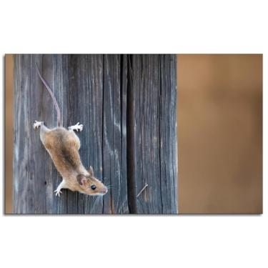 Imagem de Impressão em tela de ratos, pôster de animais de madeira, arte de parede para casa 1 peça decorações não ramificadas 68,6 cm x 40,6 cm