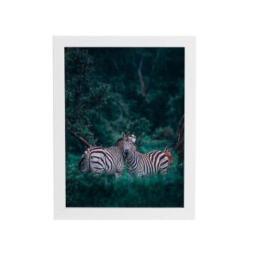 Imagem de Zebras Floresta Natureza Foto Quadro Moldura Branca 60X40Cm