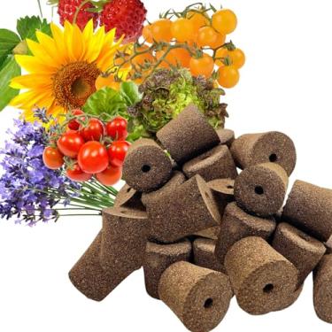 Imagem de YDKYD Plugues hidropônicos para crescimento de raízes (sem sementes) - 10 pacotes compatíveis com Click and Grow Smart Garden, esponjas de cultivo de substituição para plantas internas e externas