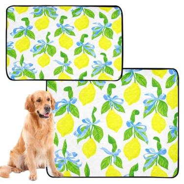 Imagem de CEBUGI Almofadas de xixi laváveis para cães, pacote com 3, almofadas impermeáveis para filhotes de cachorro, antiderrapante, à prova de vazamento, para cama de cercadinho, limões amarelos