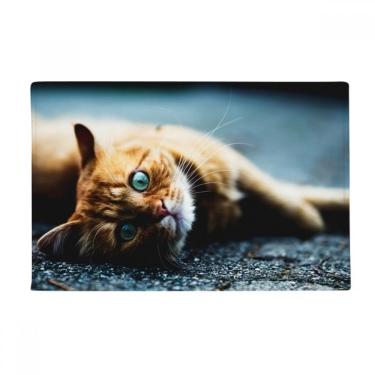 Imagem de DIYthinker Animal Pure Blue Eye Cat Photograph Tapete de chão antiderrapante para porta de banheiro