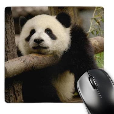 Imagem de 3dRose Mouse pad LLC 20 x 20 x 0,63 cm, urso panda gigante, preservação da China Wolong, China - As07 Pox0370 - Pete Oxford (mp_70206_1)