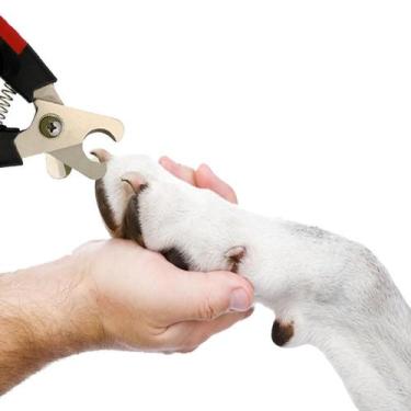 Imagem de Cortador De Unha Pet Cachorro Médio E Grande - Javick, Vermelho