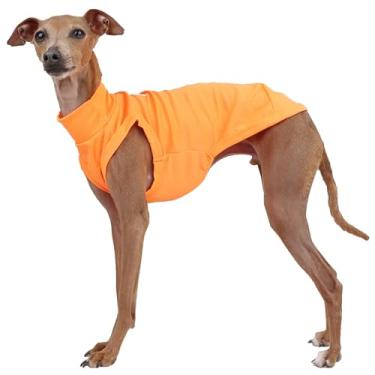 Imagem de D DOGGY STAR Roupas de galgo italiano verão legal camiseta rashguard maiô whippet para cães (GG, laranja neon fresco)