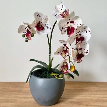 Imagem de Arranjo Orquídea Artificial Tigre, Vaso cerâmica Cinza
