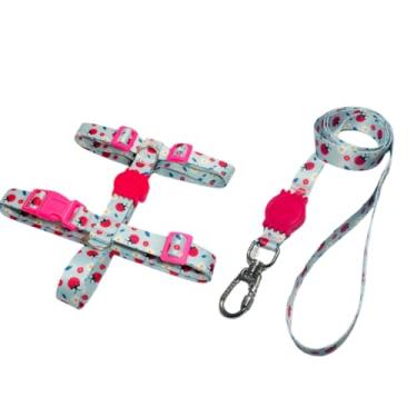 Imagem de Coleira Peitoral H Anti Puxão e Guia 1,10m para Cachorro Varias Estampas(Joaninha,G)