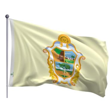 Imagem de Bandeira do Município Manaus Estampada Uma Face Tamanho Oficial 0,90x1,28m
