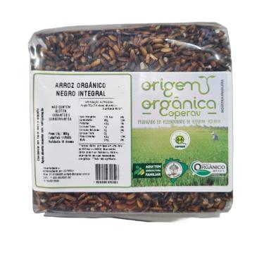 Imagem de Arroz Preto Orgânico Solst 500g
