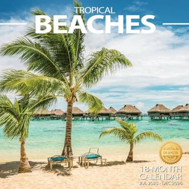 Imagem de Calendário de parede 2025-2026 calendário planejador – Calendário de parede mensal de praia tropical com blocos grandes para organização e planejamento, agenda acadêmica, casa, escritório e família