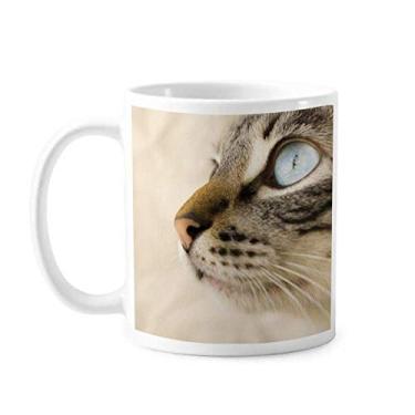 Imagem de Caneca de cerâmica com foto de gatinho azul animal caneca de cerâmica xícara de porcelana de café