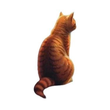 Imagem de Pintura De Diamante De Animais Gato Com Strass, Mosaico Completo, Pais