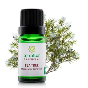 Imagem de Óleo Essencial Melaleuca - Tea Tree 10ml - Terra Flor Aromaterapia