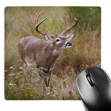 Imagem de 3dRose LLC Mouse pad 20 x 20 x 0,63 cm, veado de cauda branca, pastagem, Texas, Larry Ditto (mp_94479_1)