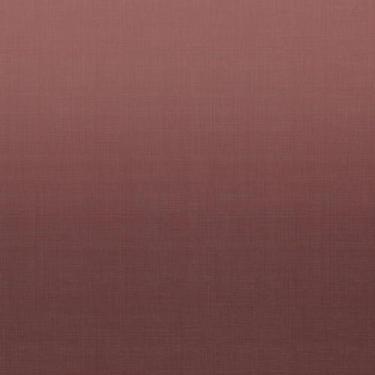 Imagem de Fita de borda vino toccare colore greenplac - h22 rl 20m proadec
