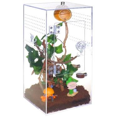 Imagem de SORWATEE Kit de terrário de aranha, gabinete de aranha saltadora com esconderijo, ponte de corda, escada de borda, terrário micro habitat para répteis de pequenas árvores, gabinete de tarântula