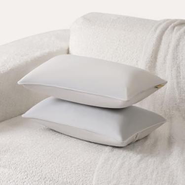 Imagem de Ailuteie Conjunto de 2 capas de almofada 50 x 30 cm - fronhas decorativas sólidas para sofá, cama - capas de almofada retangulares com tubulação (sem enchimento) cinza prateado