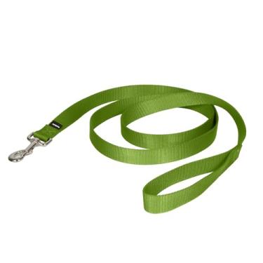Imagem de PetSafe Coleira de nylon para cães – forte, durável, estilo tradicional com fecho de parafuso fácil de usar – 2,5 cm x 1,8 m, verde maçã
