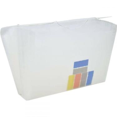 Imagem de Pasta Sanfonada Plástica Duplicata 31 Divisões Cristal