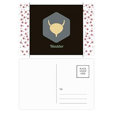 Imagem de Órgãos internos do corpo Bexiga Natal Flor Celebração Cartão Postal Bênção Cartão de correio