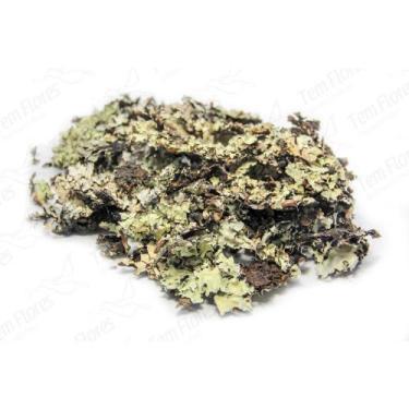 Imagem de Musgo Preto Pc 2 Lts Para Orquideas e Decoração Substrato - Tem Flores