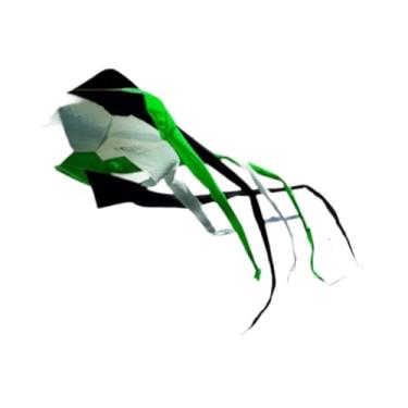 Imagem de Deevoka Cauda longa kite flyer kite dobrável resistente profissional macio kite rotatable cauda para parque praia mar pastagens ao ar livre, Preto Branco Verde