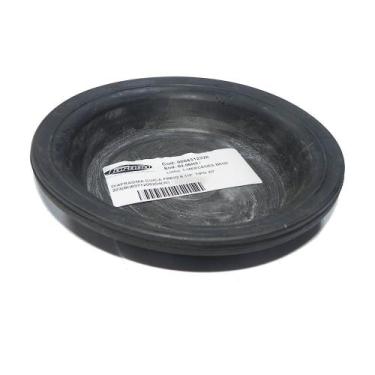 Imagem de Diafragma cuica freio tipo 20" bf5x2325b 0004312328. - Ford Cargo