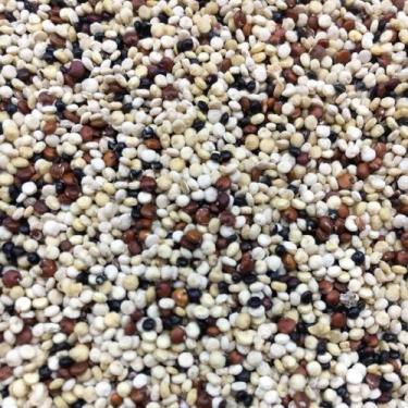 Imagem de Mix de Quinoa Grãos 1kg - granel