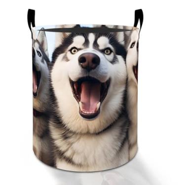 Imagem de Husky cesto de roupa suja para meninos, meninas, crianças, adultos, caixa de armazenamento de roupas Oxford dobrável, impermeável, organizador de cachorro engraçado para quarto, banheiro, decoração de