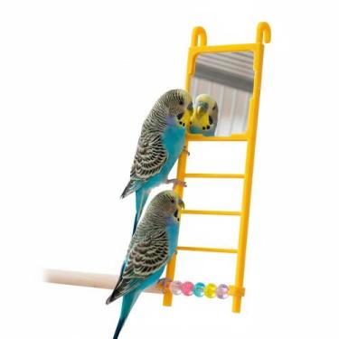 Imagem de Escada Espelhada Para Pássaros The Pets Brasil  Brinquedo Interativo e