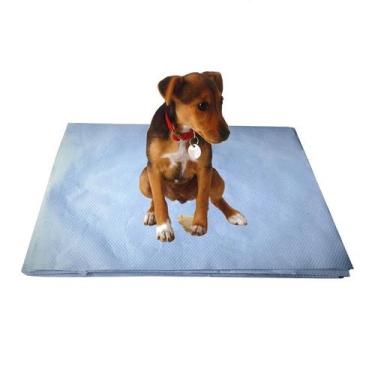 Imagem de Papel Jornal Tapete Pet Biodegradável Limpo Absorvente 50x35 cm 500uni