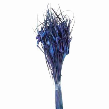 Imagem de Capim Estrela Roxo Desidratado - Pense Flores