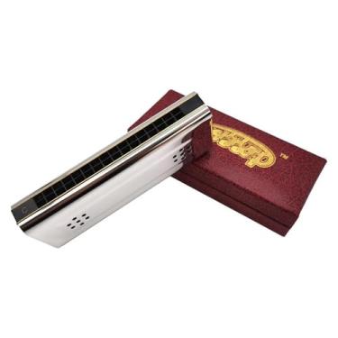 Imagem de Gaita Profissional 10 16 24 Orifícios C e G Dupla Face Harmonica Tremolo Instrumento Musical (16 furos)