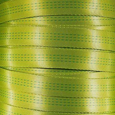 Imagem de West Coast Corda de nylon tubular de 2,5 cm – Premium resistente leve com resistência à ruptura de 1,814 kg – tiras para uso externo para escalada e segurança (limão, 4,5 metros)