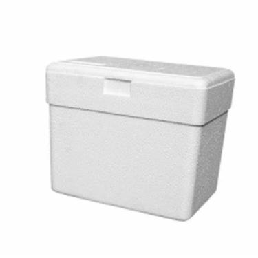 Imagem de Caixa De Isopor 3 Litros Termica Gelo Cerveja Refri - Goldpac