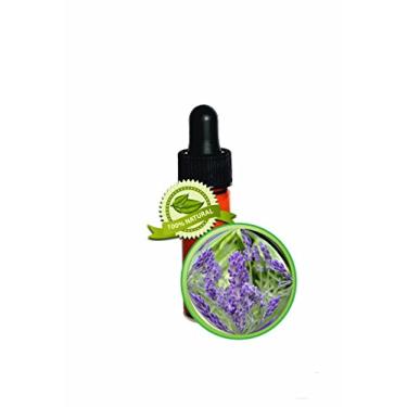 Imagem de Óleo essencial de lavanda (Caxemira, extração de CO2) - 100% PURE Lavandula Angustifolia - 1 DRAM (1 / 8oz)