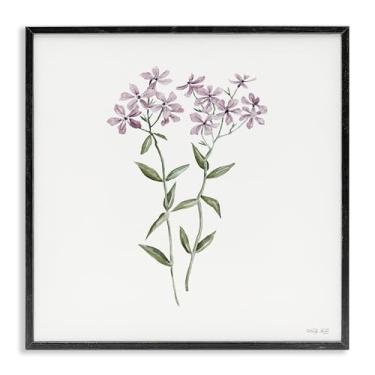 Imagem de Stupell Industries Arte giclée emoldurada preta roxa Phlox botânica, design de Cindy Jacobs, 43 x 43 cm