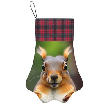 Imagem de SKKNT Esquilo Engraçado Animal Estampado Meias de Natal Animais de Estimação Decoração de Natal Cães Gatos Árvore Decoração Doce Presente Conveniente