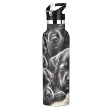 Imagem de Garrafa de água escolar de aço inoxidável para meninos, cachorrinhos pretos fofos de 590 ml, parede dupla, à prova de vazamento, copo de viagem com tampa de canudo
