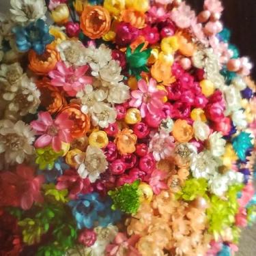Imagem de 250 flores - Sempre vivas COLORIDAS DESIDRATADAS (Color MIX)