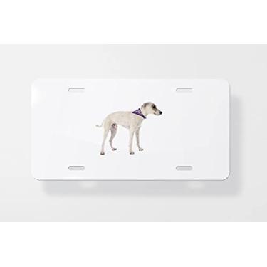Imagem de Capa para placa de carro Parson Russell Terrier – Capa para placa de carro – Capa para placa de carro 15 x 30 cm