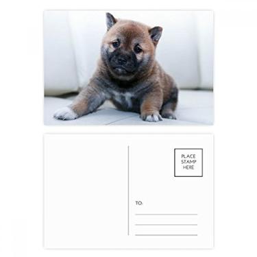 Imagem de Pippy Dog Pet Animal Lindo conjunto de cartões postais de aniversário para enviar cartões de agradecimento