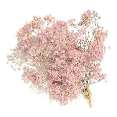 Imagem de 2 Mini Buques De Gypso Mosquitinho I Flores Desidratadas Rosa - Pense 